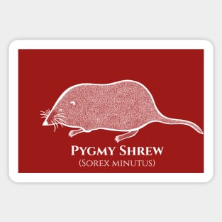 Pygmy Shrew with Common and Scientific Names - animal lovers art Sticker